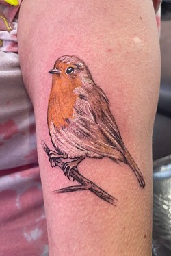 Beautiful robin , symbolic Tattoo
