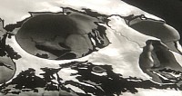 Skull close up banner